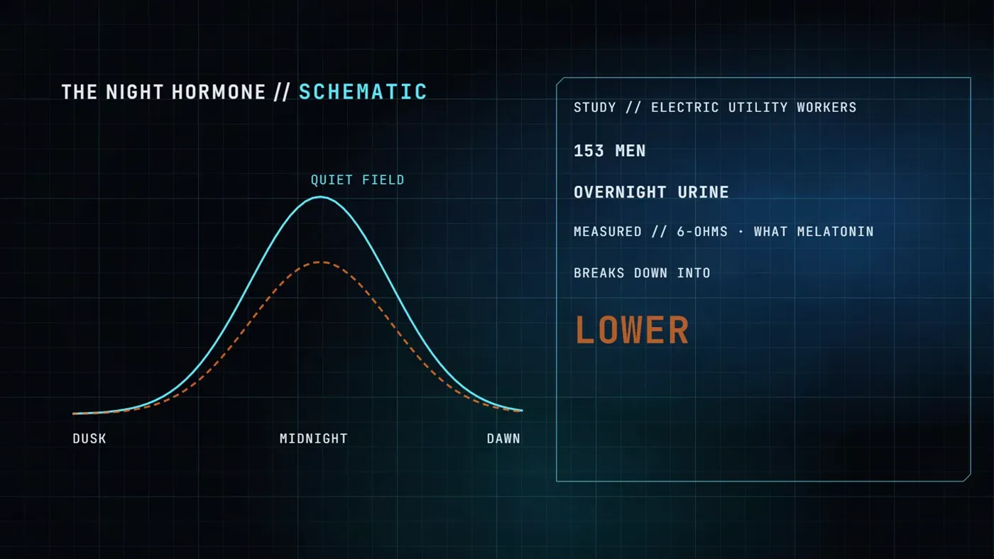 Schematic of the night hormone curve, lower when the field is disturbed, from the study of 153 utility workers